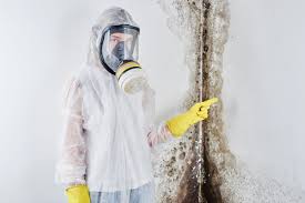 Best Mold Prevention Services  in Lake Holiday, IL